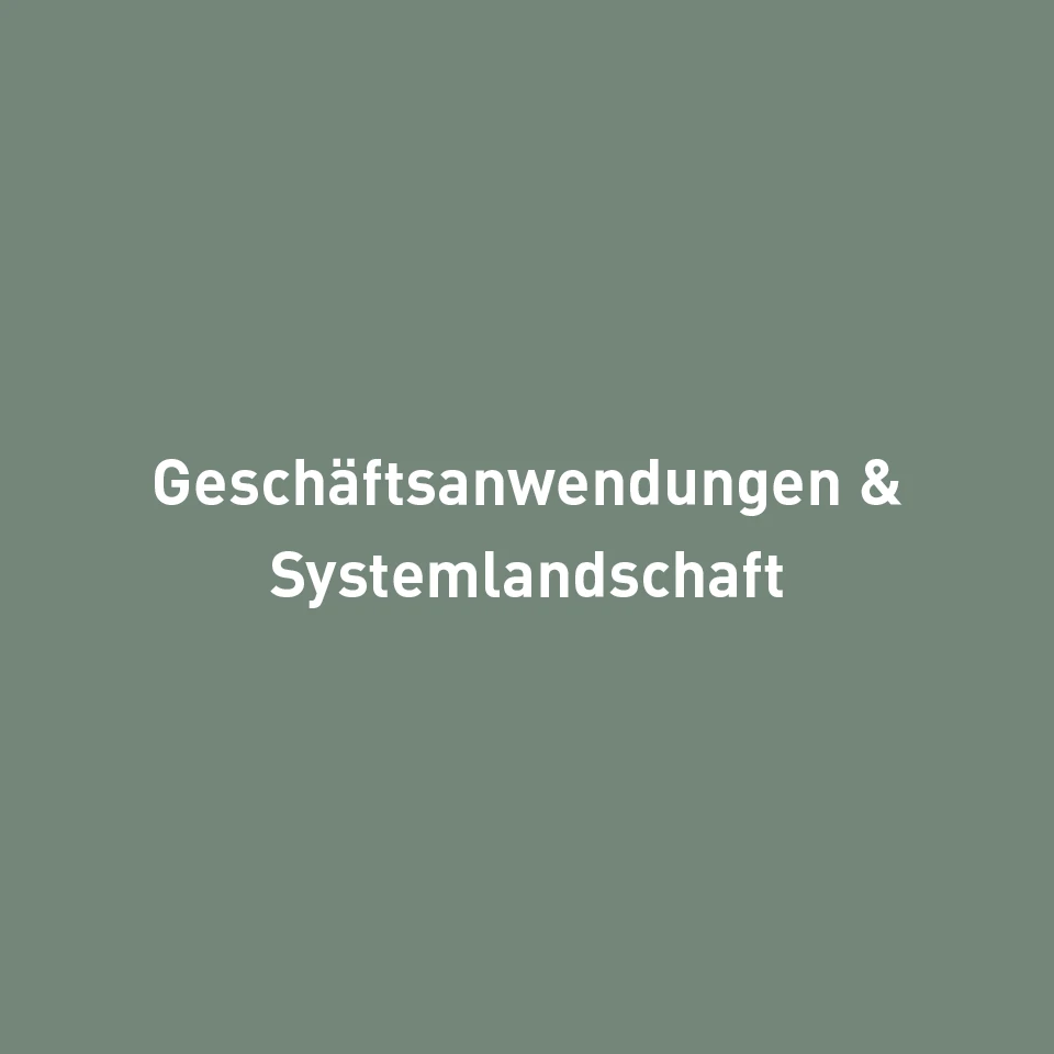 Geschäftsanwendungen & Systemlandschaft